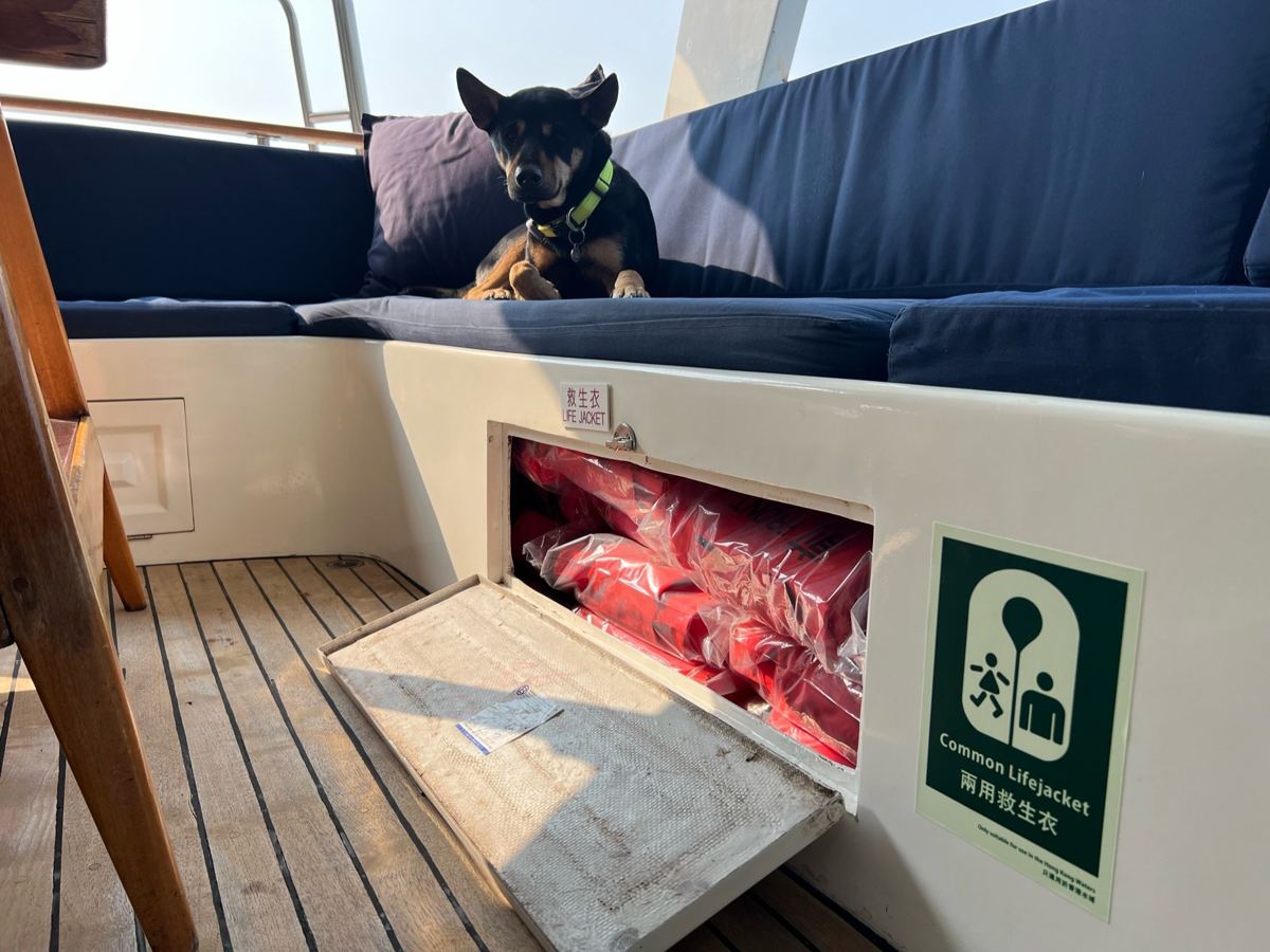 Lifejacket locker under the aft deck bench, marked with the green common lifejacket sticker